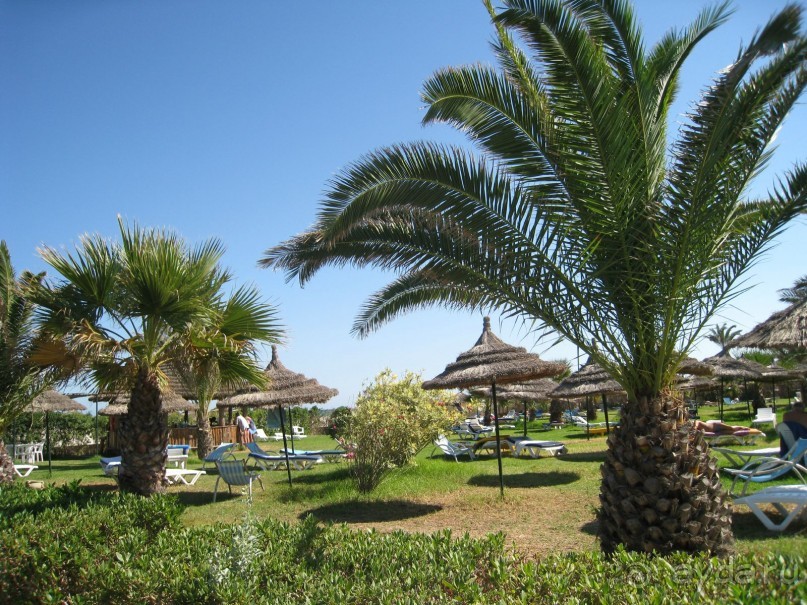 Чудесный отдых в прекрасном отеле и в замечательной стране!