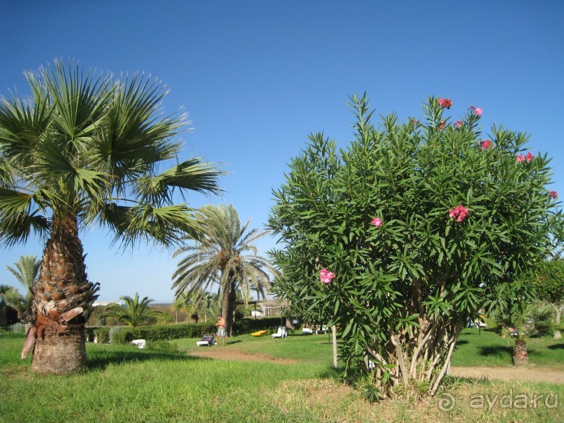 Чудесный отдых в прекрасном отеле и в замечательной стране!