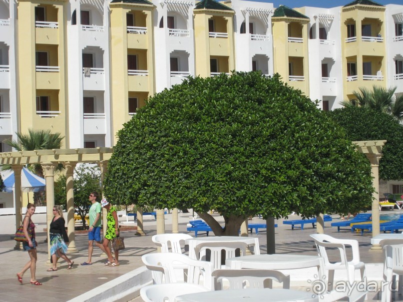 Чудесный отдых в прекрасном отеле и в замечательной стране!