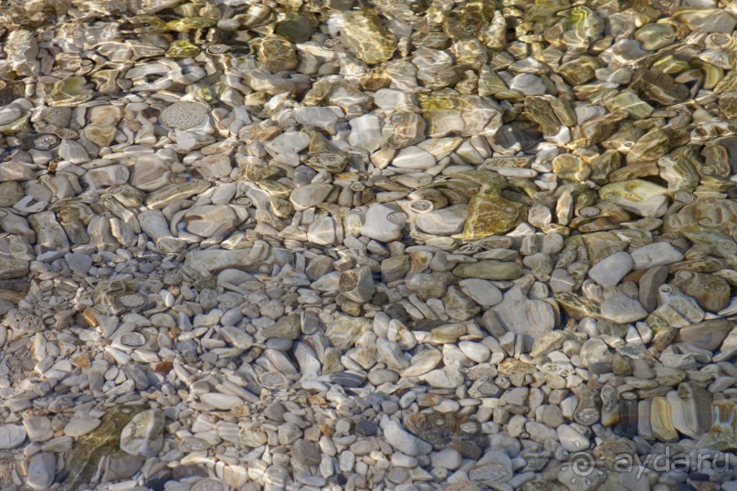 Новый уютный отель в тихом месте