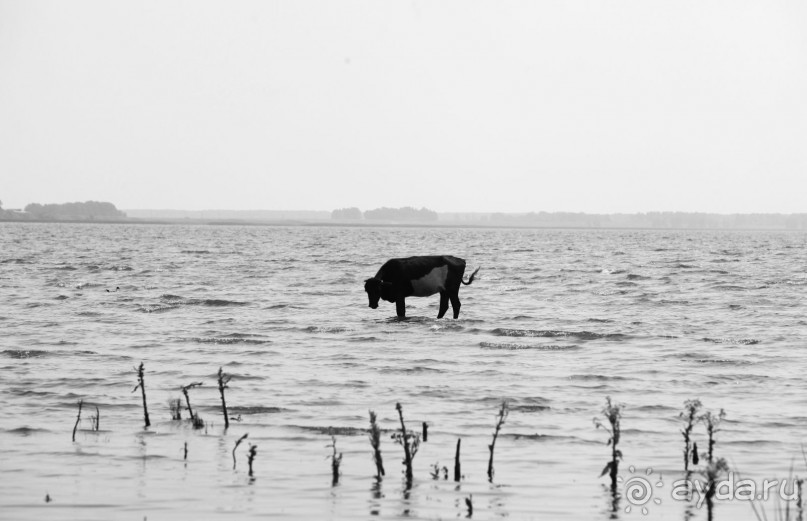 Незапланированный маршрут