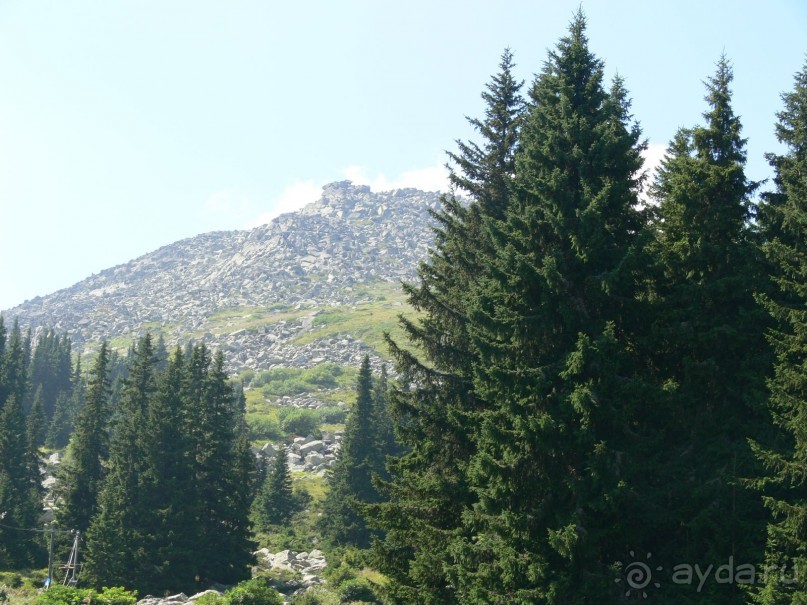 Отель Grand Hotel Sofia