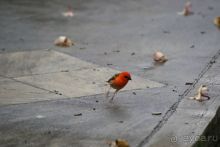 Остров на который хочется вернуться...