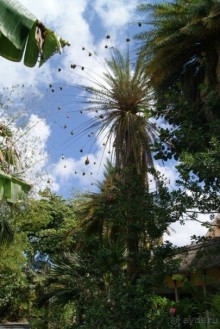 Остров на который хочется вернуться...