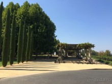 Прекрасный день в долине Напа