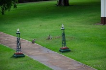 Молодцы британцы!