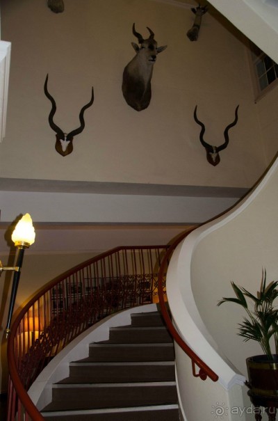 Молодцы британцы!