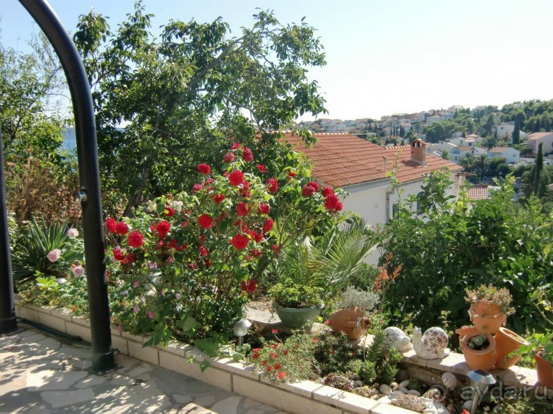 Садик около летнего душа.