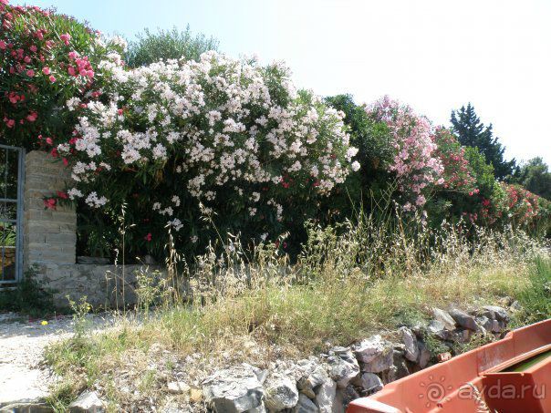 Мелкогалечный пляж. 