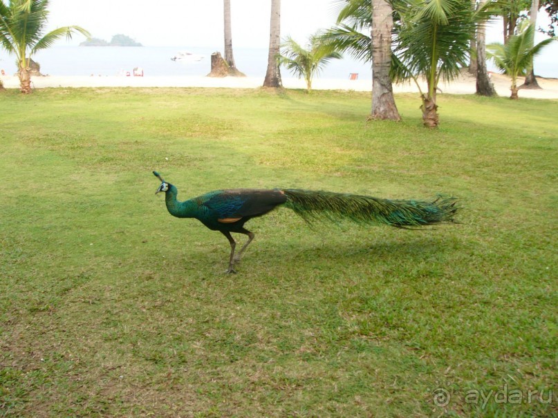 фото Chang Park Resort & Spa