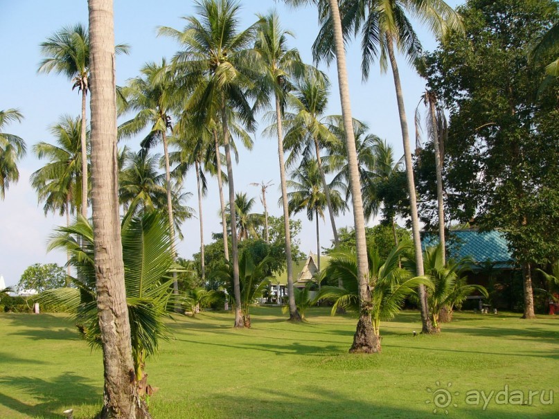 фото Chang Park Resort & Spa