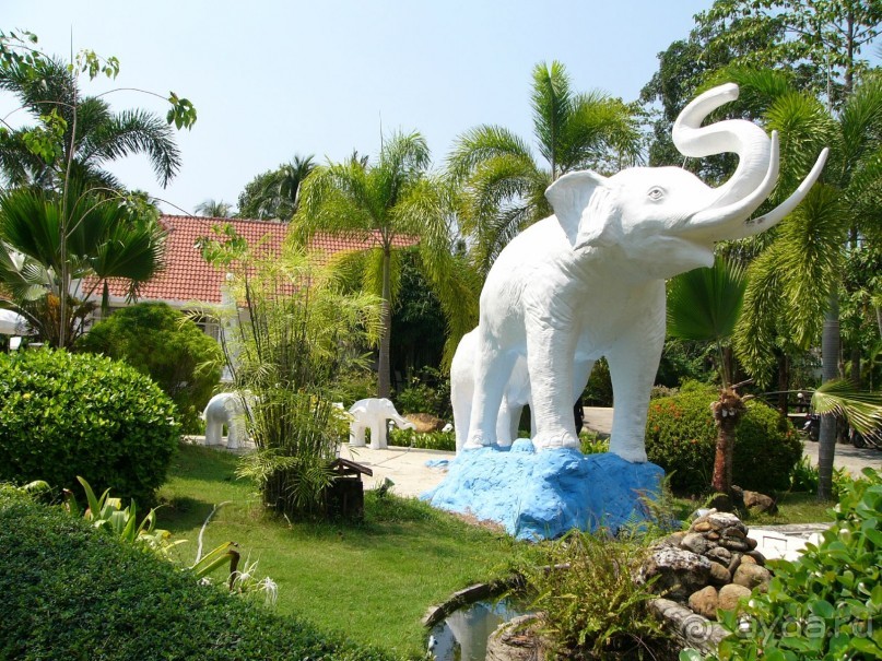 фото Chang Park Resort & Spa