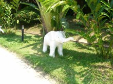 Ко чанг- райский уголок