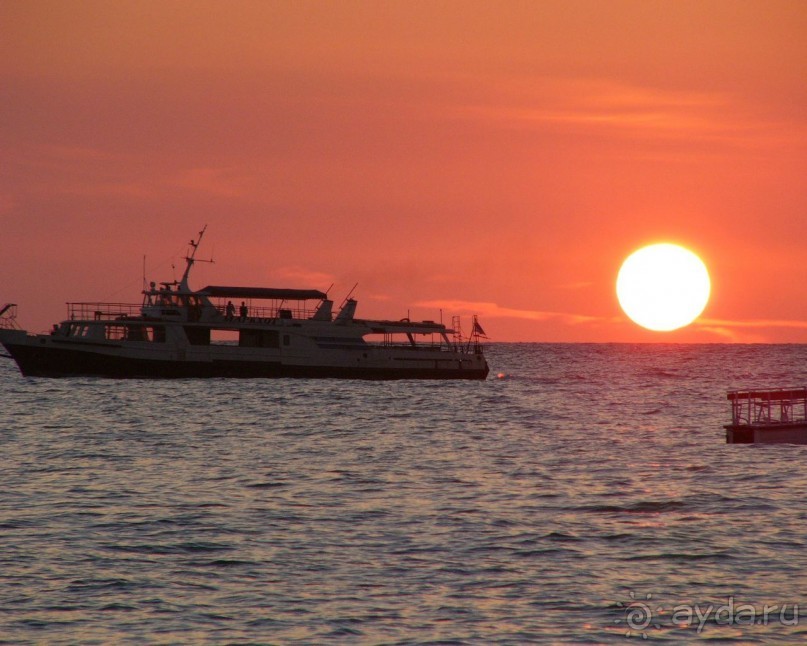 фото Прибой