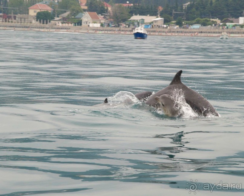Отдыхали в гостинице прибой летом 2011