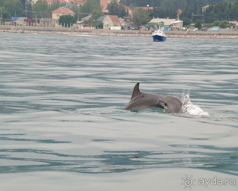 Отдыхали в гостинице прибой летом 2011