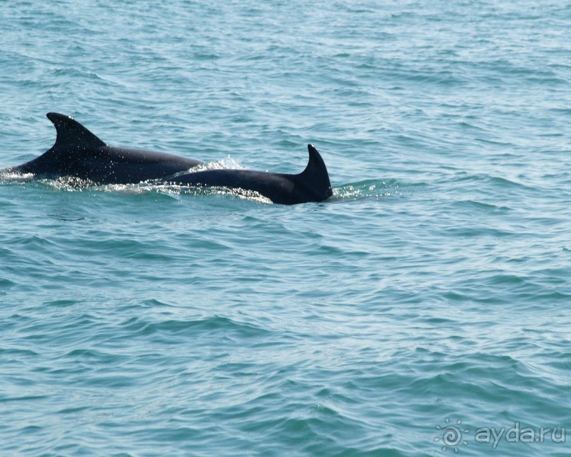 Отдыхали в гостинице прибой летом 2011