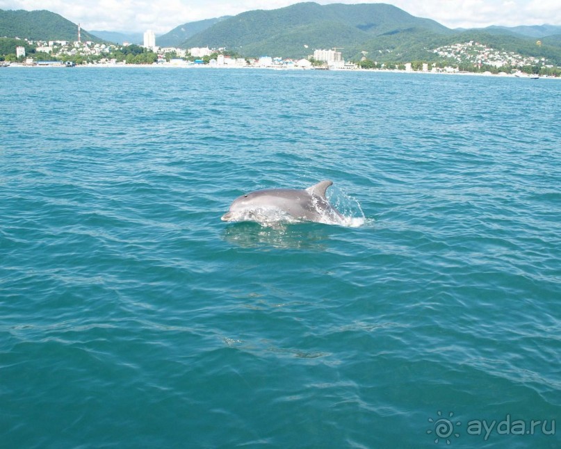 Отдыхали в гостинице прибой летом 2011