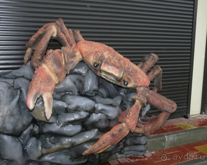 Отдыхали в гостинице прибой летом 2011