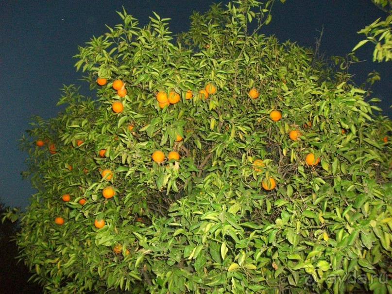 фото Madrid Marriott Auditorium Hotel