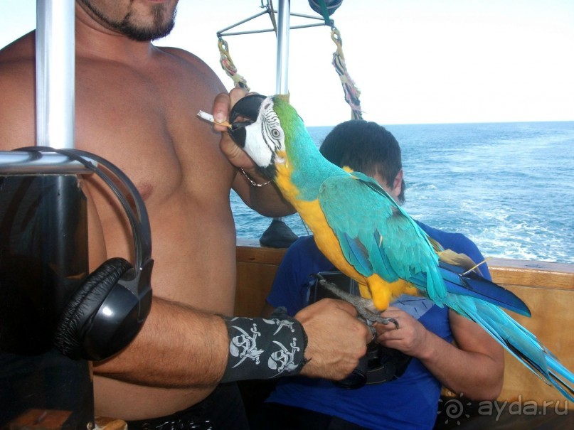 фото Madrid Marriott Auditorium Hotel