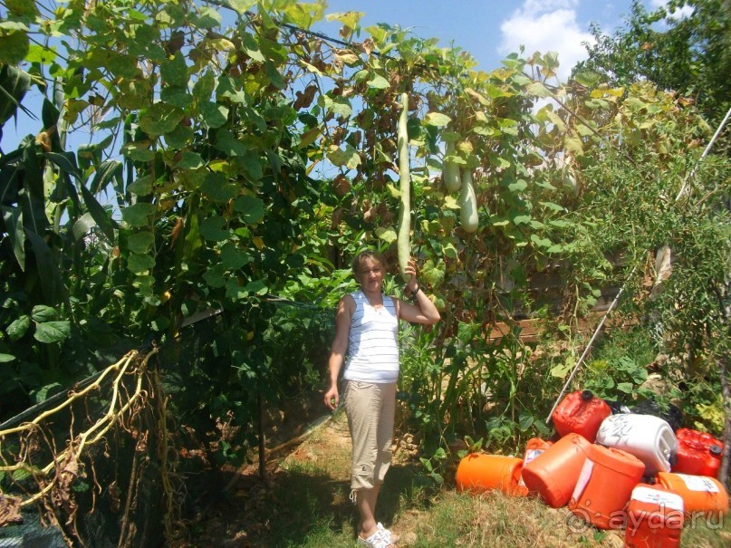 фото Madrid Marriott Auditorium Hotel