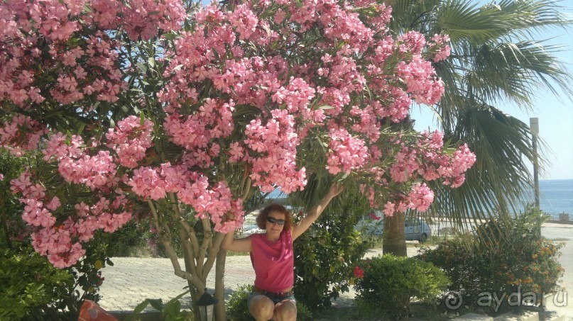 Тихий уютный "домашний" отель