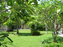 райский уголок