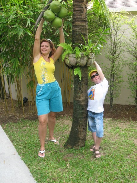 на территории отеля 