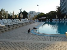 бассейн, корпус, скала Рокка и сицилийские коты