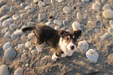 санаторий для отдыха "не в сезон"