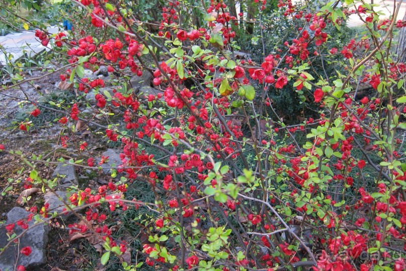 санаторий для отдыха "не в сезон"
