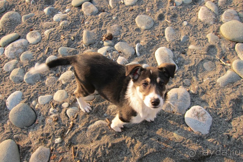 санаторий для отдыха "не в сезон"