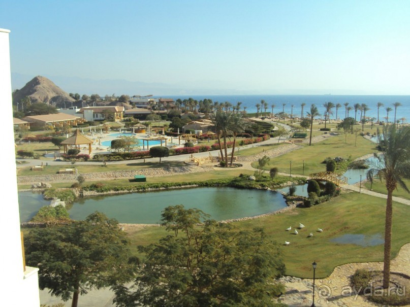 Шарм эль Шейх 2011