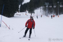 фото Druzba