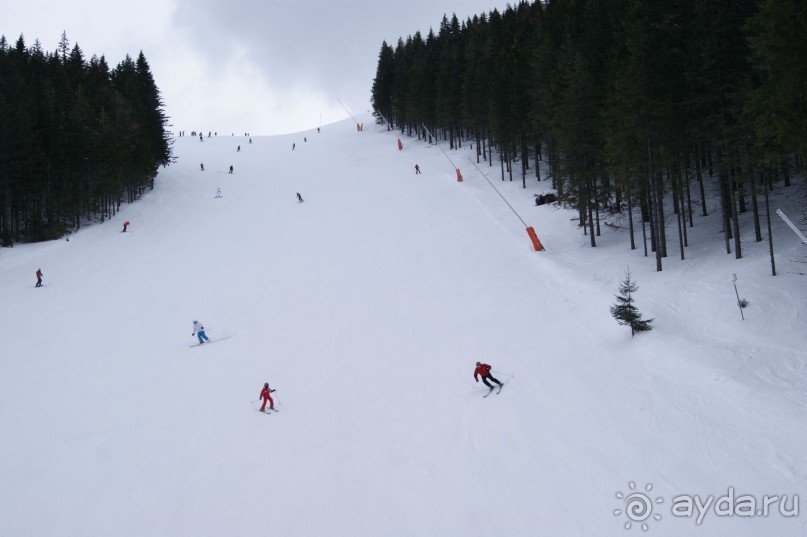 Сказка для взрослых и детей.