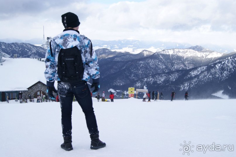 Сказка для взрослых и детей.