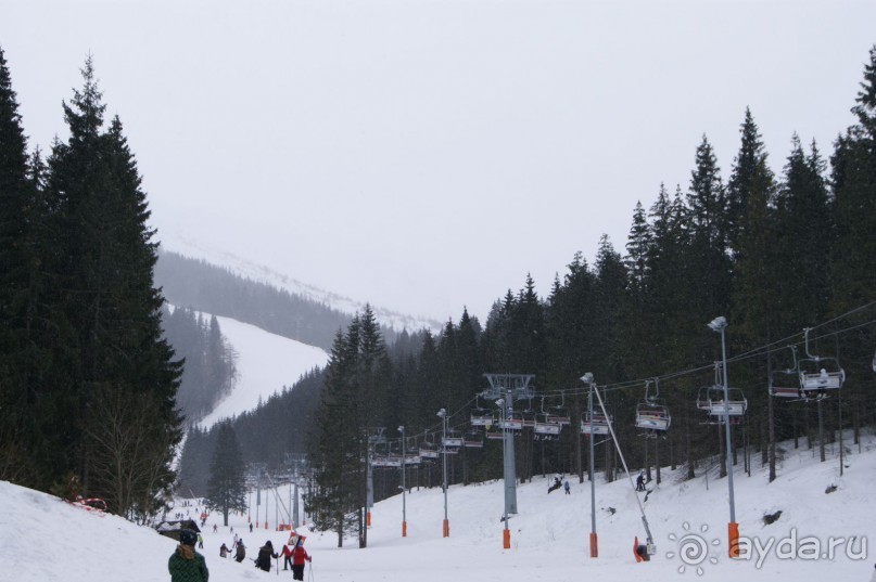 Сказка для взрослых и детей.