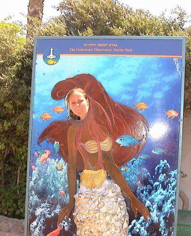 Эйлат -рассказ - помошник