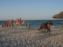 Если оплатили этот отель - едьте смело, если только выбираете - лучше рассмотртеь другие направления