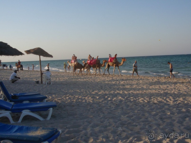 Если оплатили этот отель - едьте смело, если только выбираете - лучше рассмотртеь другие направления