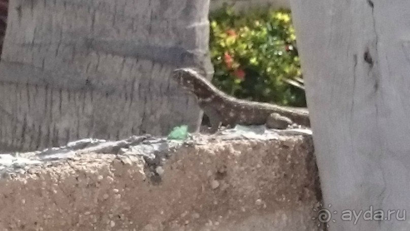 ACUAZUL 13.12.-27.12.2018