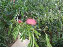 Majorda Beach Resort 5*