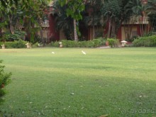 Majorda Beach Resort 5*