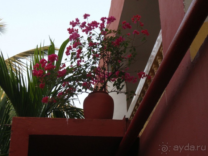 Majorda Beach Resort 5*