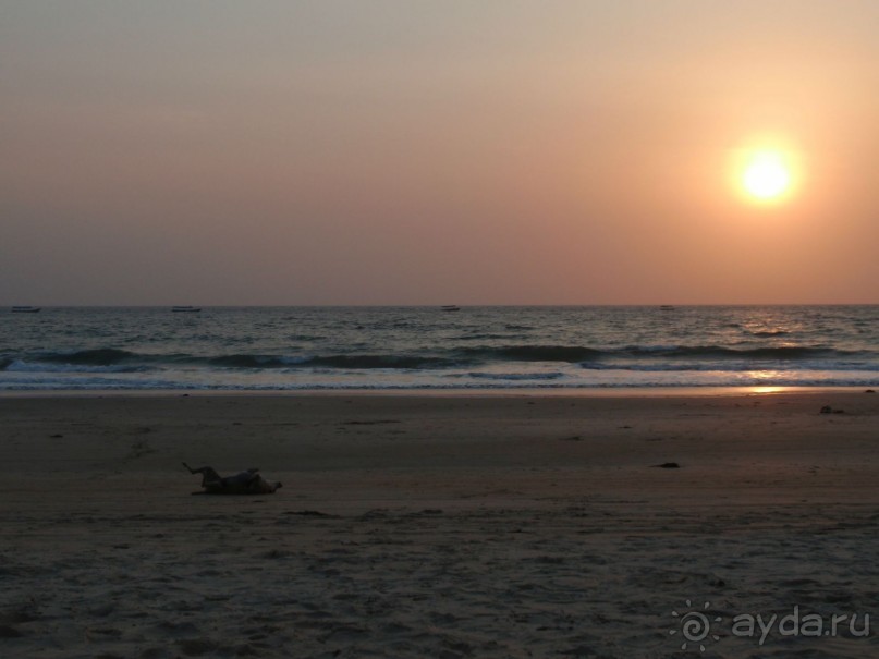 Majorda Beach Resort 5*