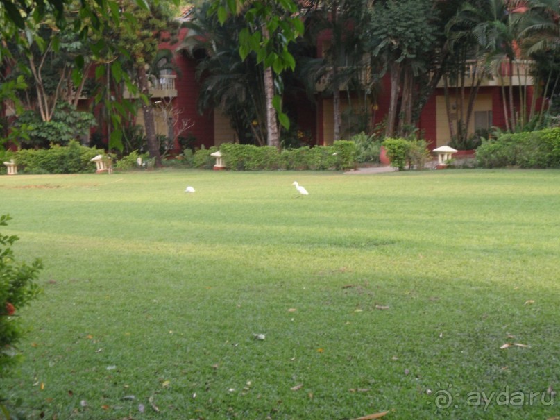 Majorda Beach Resort 5*