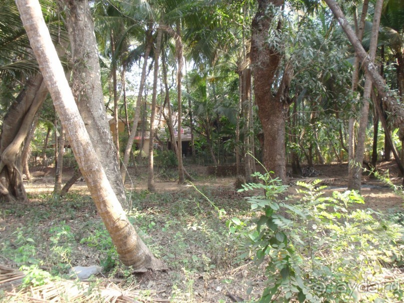 Majorda Beach Resort 5*