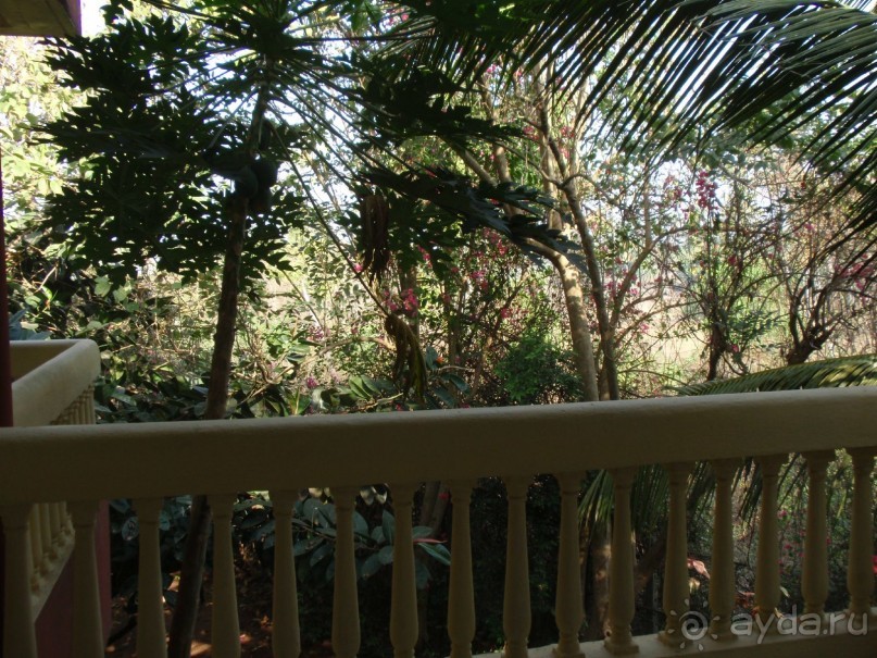 Majorda Beach Resort 5*