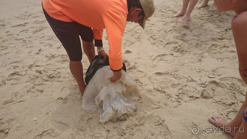 Dessole Beach Resort - Nha Trang 4+